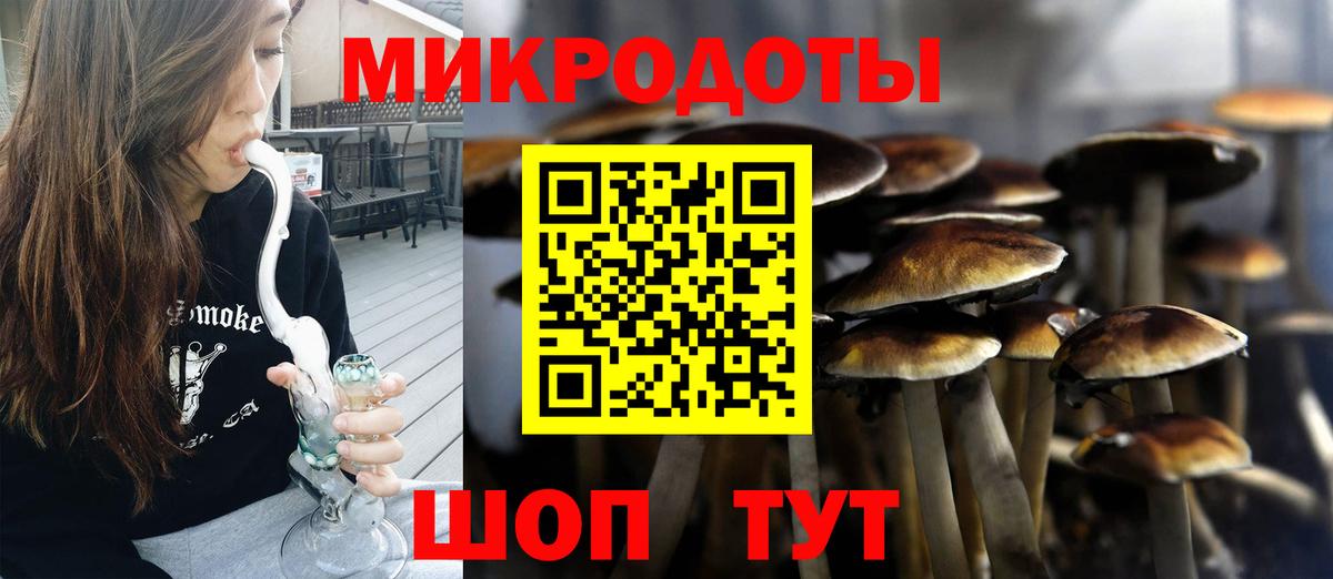 Буйнакск  что такое наркотик  Вход с VPN  Галлюциногенные грибы GOLDEN TEACHER 