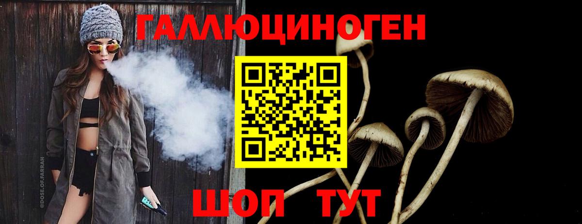 Псилоцибиновые грибы Psilocybine cubensis Буйнакск